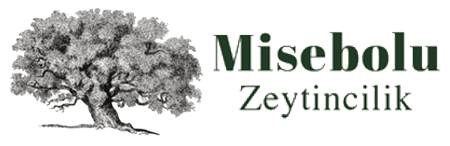 Mise Bolu Zeytincilik